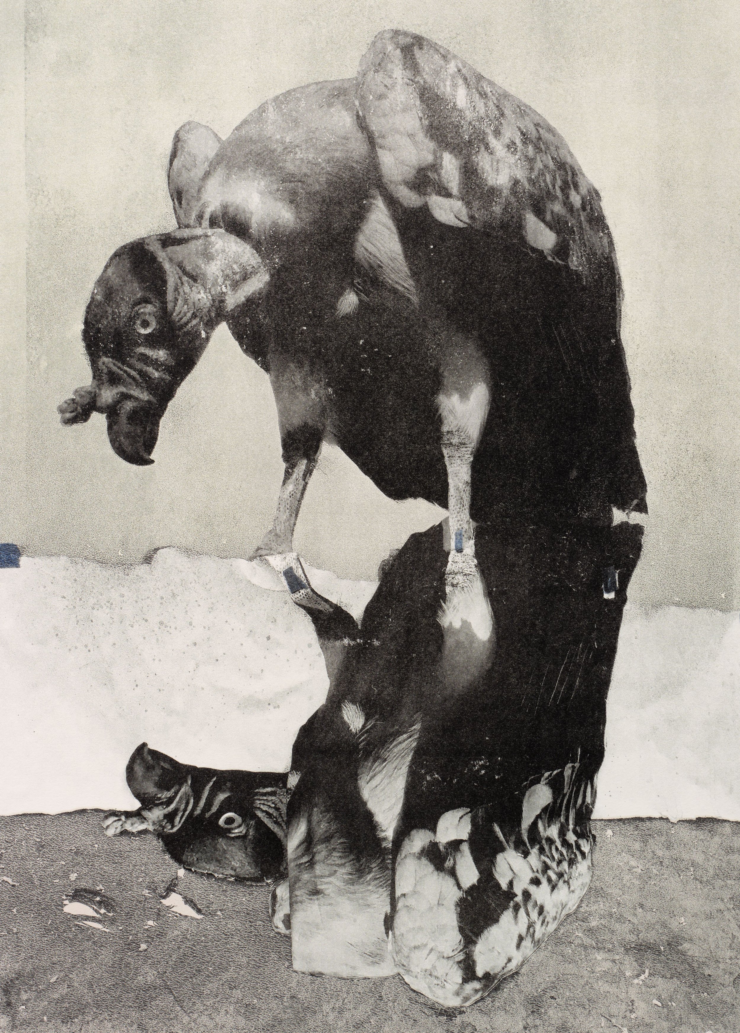 one way to transform and two and three | Harold Mendez — Musée